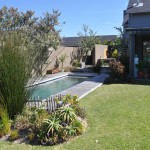 Olea House 1