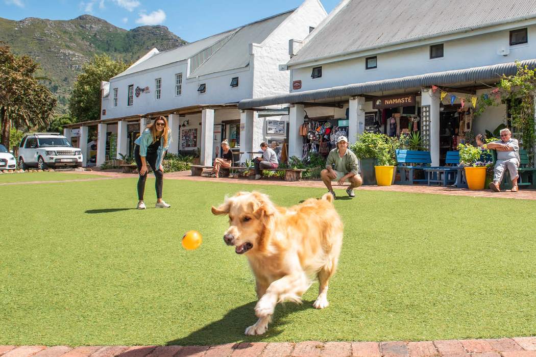 Noordhoek Farm Village