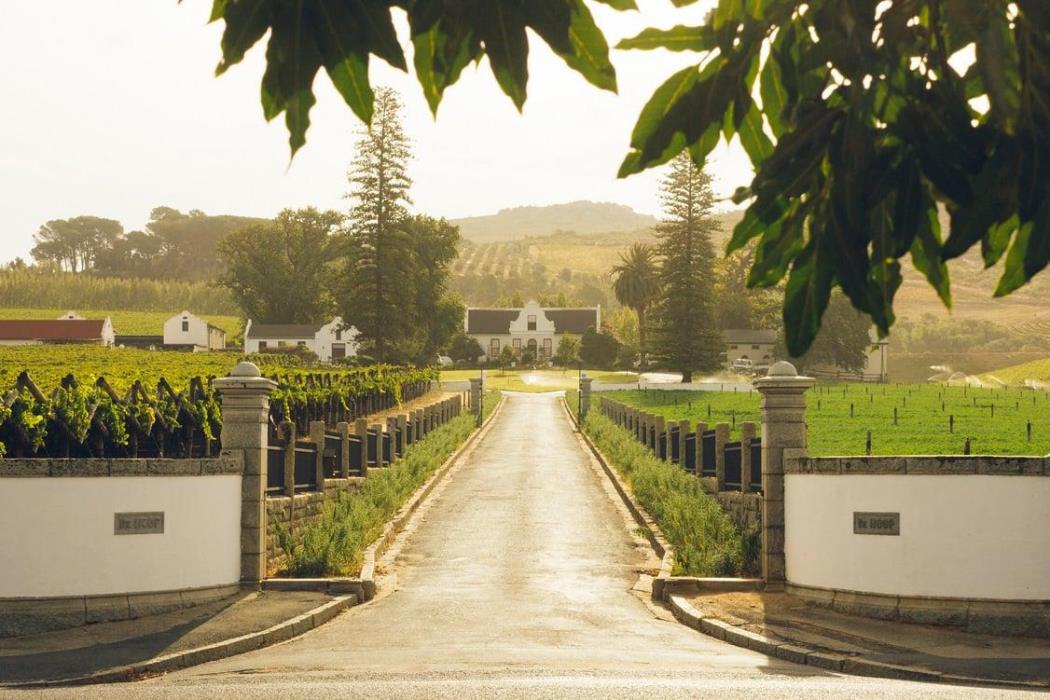 Klein Constantia Wine Estate