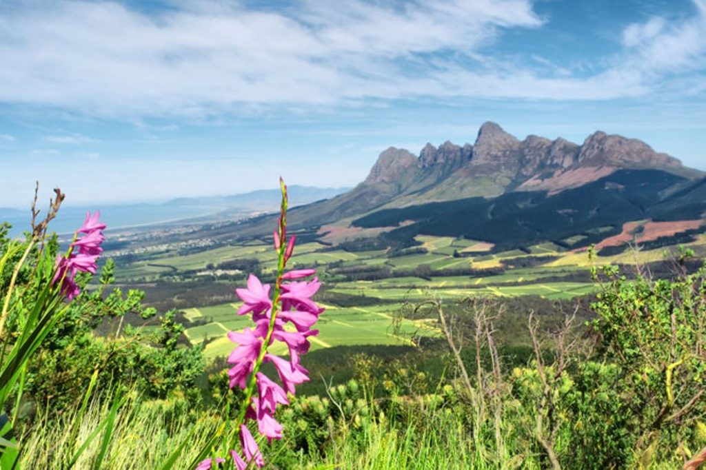 Somerset West Somerset West